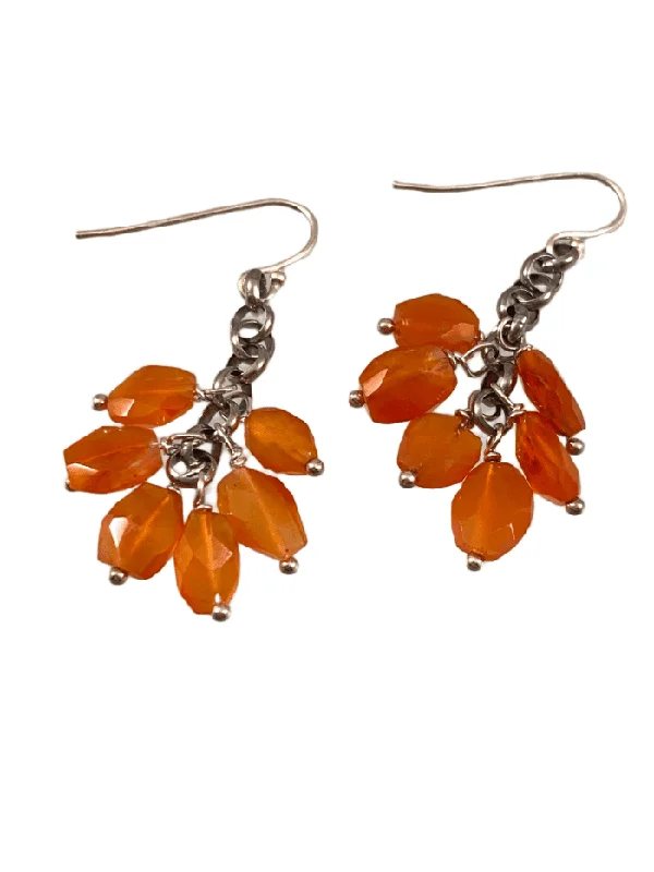 Owl wing earrings-Sterling Carnelian Fringe Drop Earrings